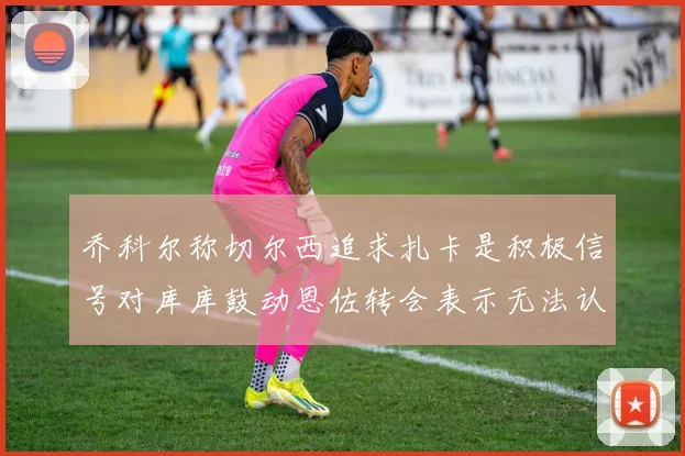 乔科尔称切尔西追求扎卡是积极信号对库库鼓动恩佐转会表示无法认同
