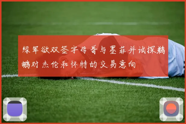 绿军欲双签字母哥与墨菲并试探鹈鹕对杰伦和怀特的交易意向